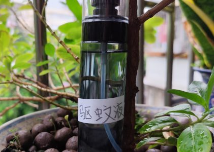 普及型驱蚊液