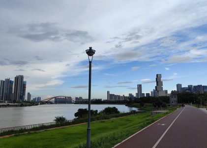 综合其他